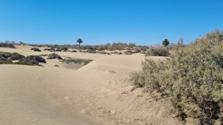 2023-GC--Mapalomas dunas-S123-109.jpg